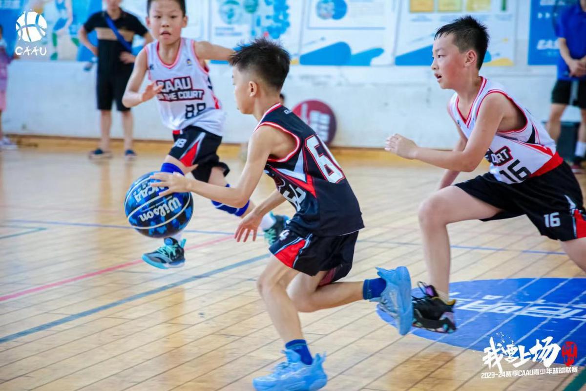 篮球训练法读后感怎么写_1